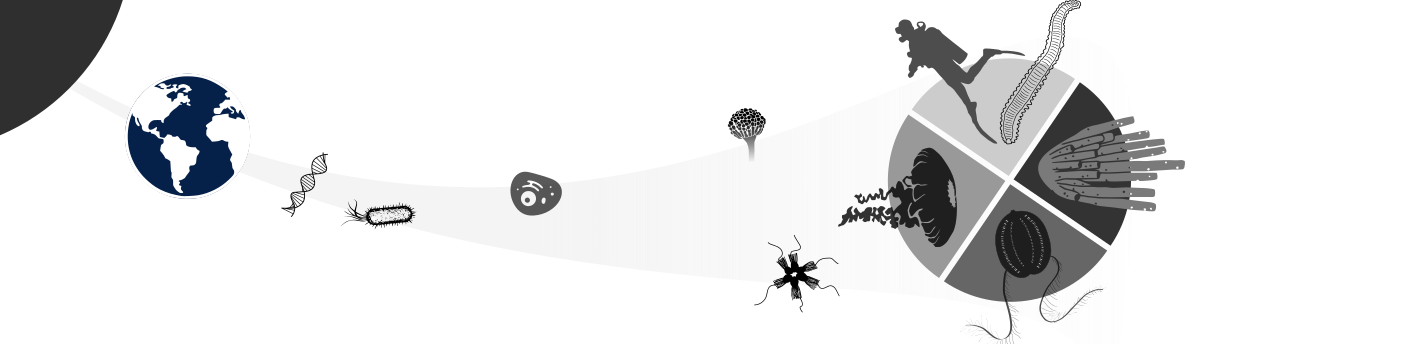 earth life timeline